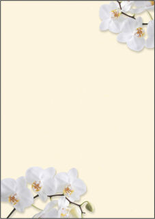 SIGEL Motivpapier White Orchid Motiv DIN A4 90 g/qm 50 Blatt