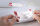 AVERY Zweckform Adressetiketten J8160-25 weiß 63,5 x 38,1 mm, 25 Blatt