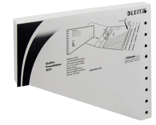 LEITZ Trennblätter 1651 DIN A4 blanko grau, 200 g/qm, 100 St.
