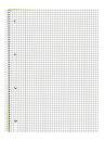 Ursus® Collegeblöcke green Lineatur 22 kariert DIN A4 Innenrand, 10 Blöcke