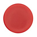 10 Magnete rot Ø 3,2 x 0,73 cm