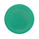 10 Magnete grün Ø 3,8 x 1,03 cm
