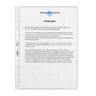 LEITZ Prospekthüllen 4790 DIN A4 transparent genarbt 0,085 mm, 100 St.