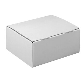 Nestler Versandkartons Pack-Set XS 22,5 x 14,5 x 3,5 cm, 20 St.