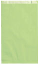 VP Faltenbeutel hellgrün 15,0 x 21,0 cm, 100 St.
