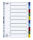 OXFORD Ordnerregister DIN A4 Vollformat blanko farbig 10-teilig, 1 Satz