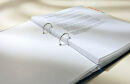 LEITZ 4210 Ringbuch 2-Ringe blau 4,0 cm DIN A4, 1 St.