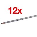 FABER-CASTELL GRIP 2001 Bleistifte HB silber, 12 St.