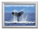 Showdown® Displays  Klapprahmen silber 62,5 x 87,2...